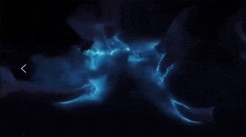 492_274gif 动态图 动图