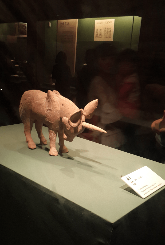 看见文物 | 一只萌萌的北魏独角兽_古代