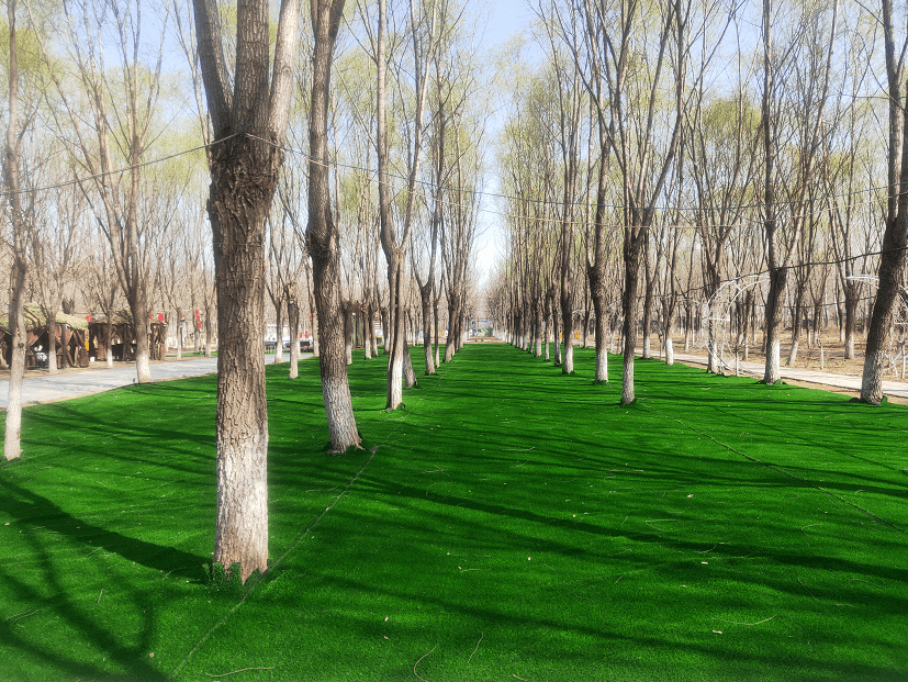 千亩氧吧药草飘香草根堂农场焕然一新香草堂一号院栀子金花对外开放