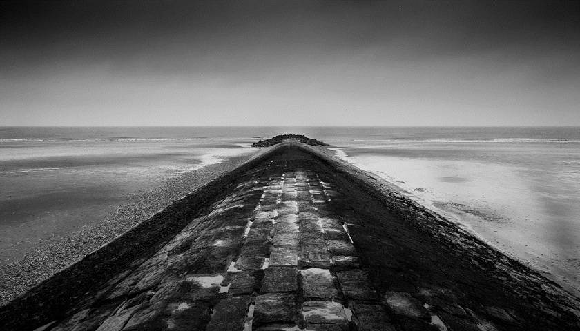 康得新遭强制退市：虚增百亿利润 13万投资者