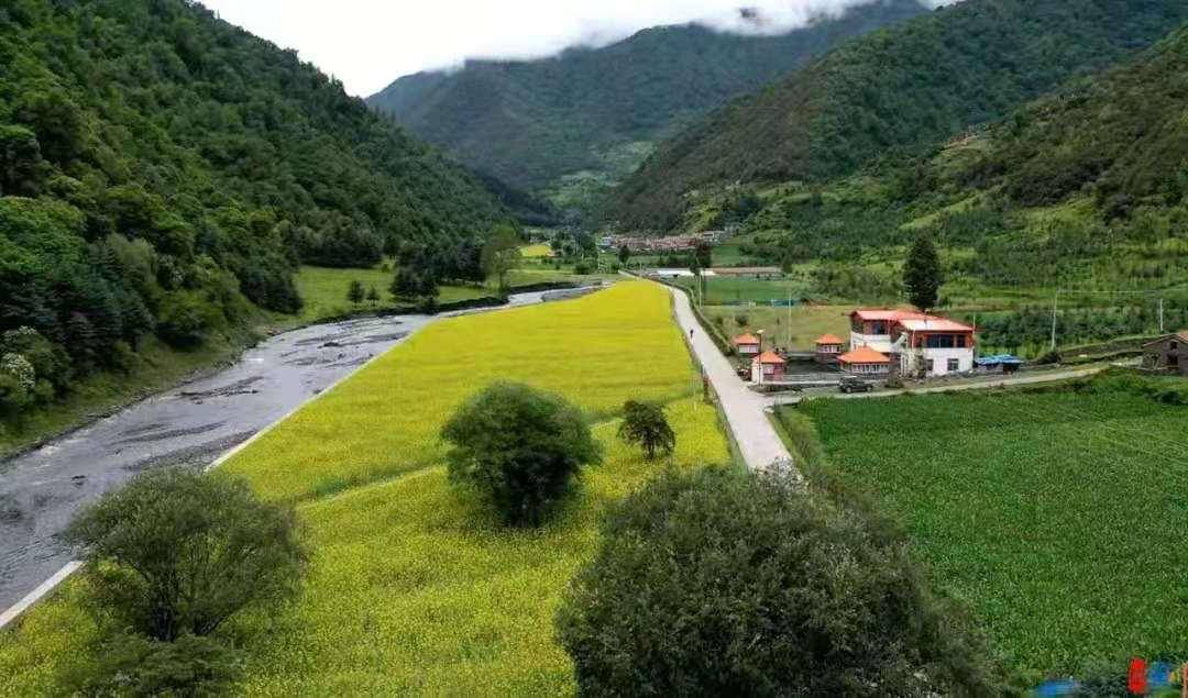 喜讯金川县3个镇村被命名为2020年度乡村振兴先进乡镇示范村