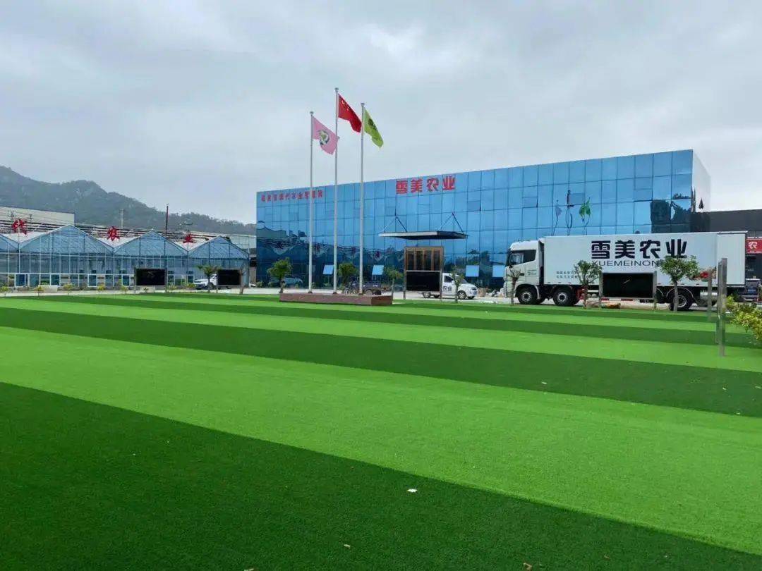 福州积极推动菜篮子工程让百姓菜篮子装得满拎得稳