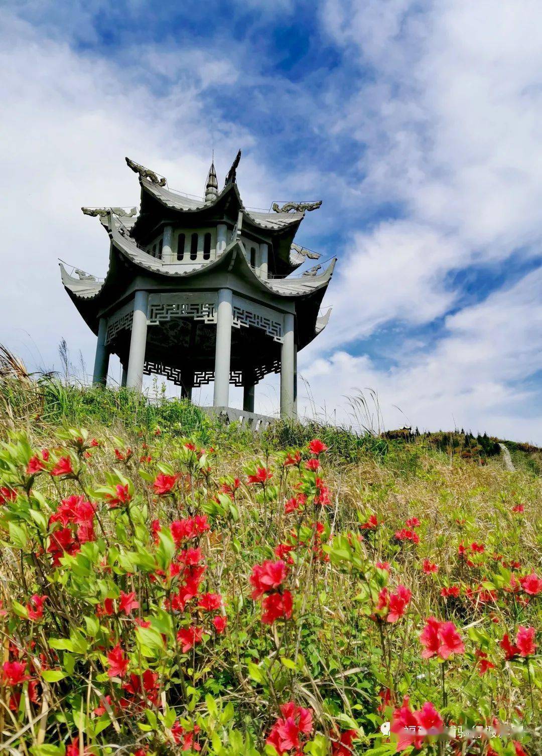 手机拍霞浦春天的水门