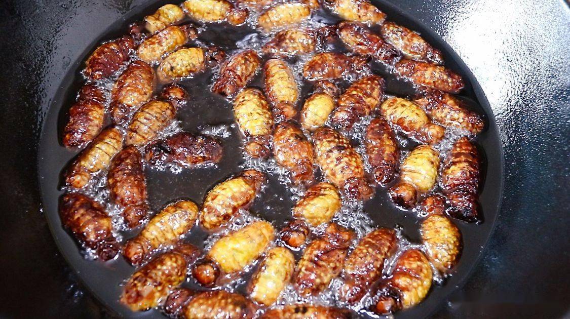 春天这虫子抓紧吃高营养高蛋白一斤100元咬一口嘎嘣脆