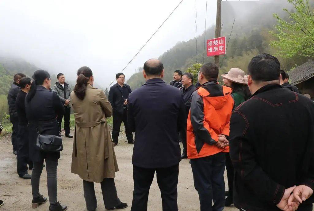 李荣卫再次调度第二届舜皇山野茶节筹备工作