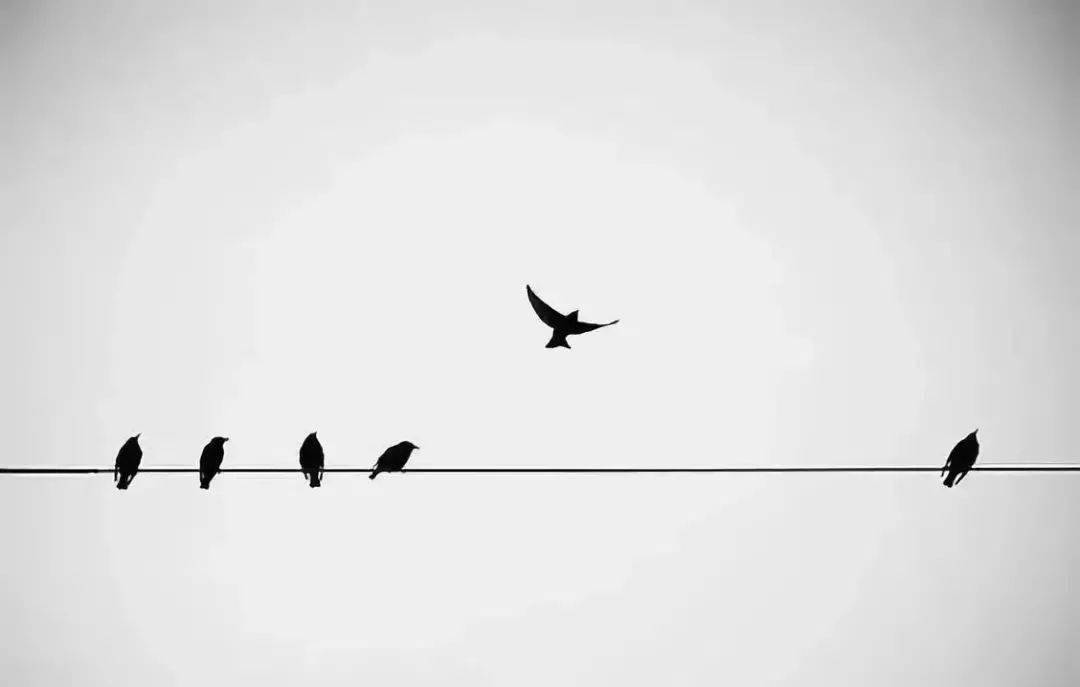 给孩子留白,才能抬高他未来人生的高度