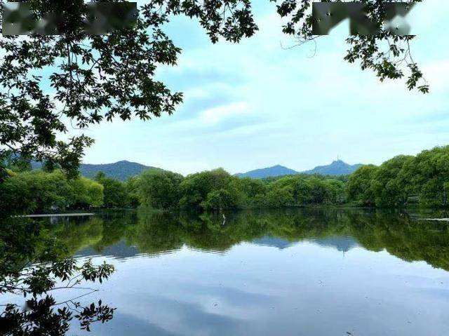 杭州龙泓涧景区提升景观换新貌,趁着好天气去打卡_灵隐管理处