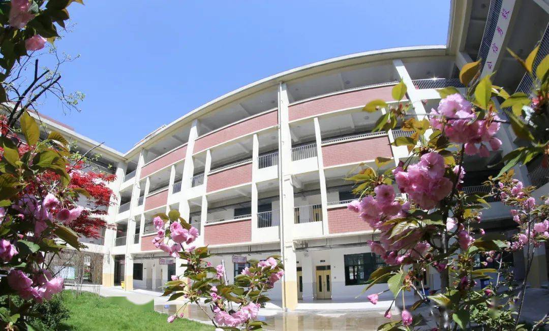 实至名归亳州学院附属学校真的来了