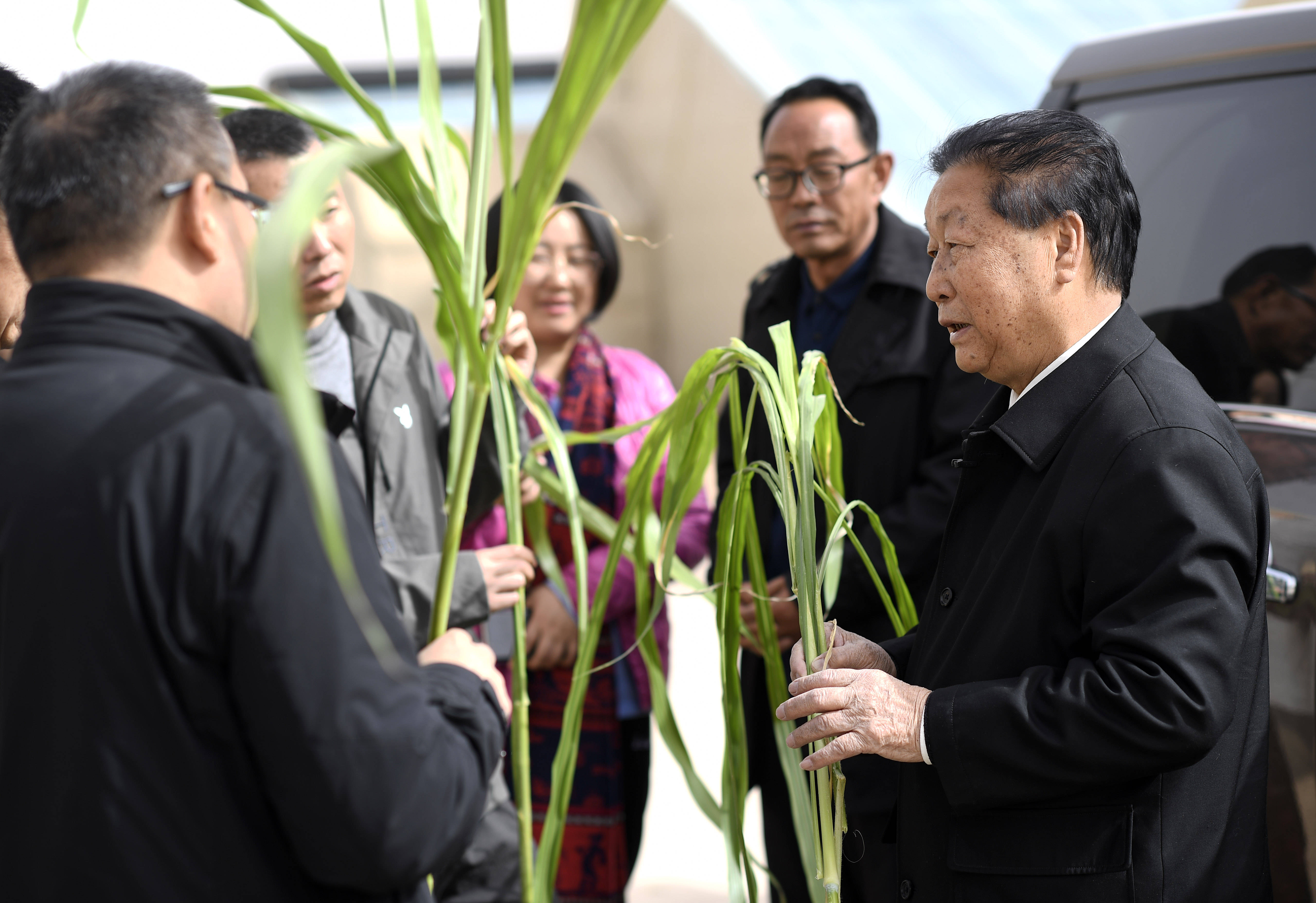 东西合作结硕果"菌草之父"的新使命_林占