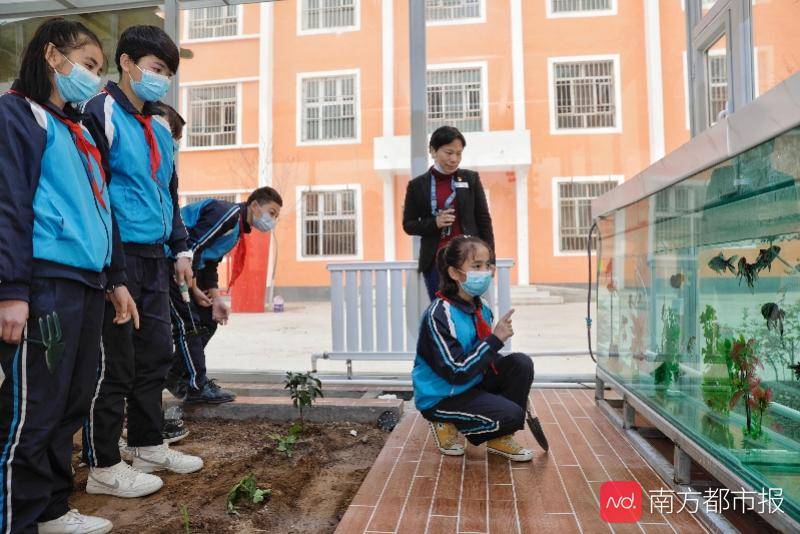 伽师县第二中学图片图片