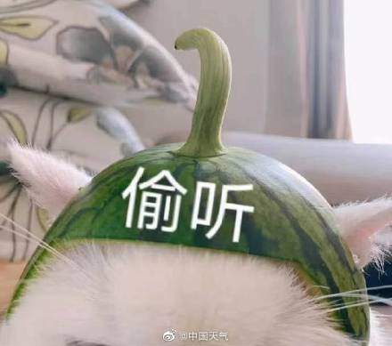 登陆|剧透一下 今年第2号台风有眉目了