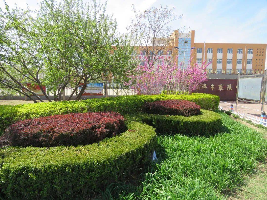 雍阳中学开通招生办学!(附电话)