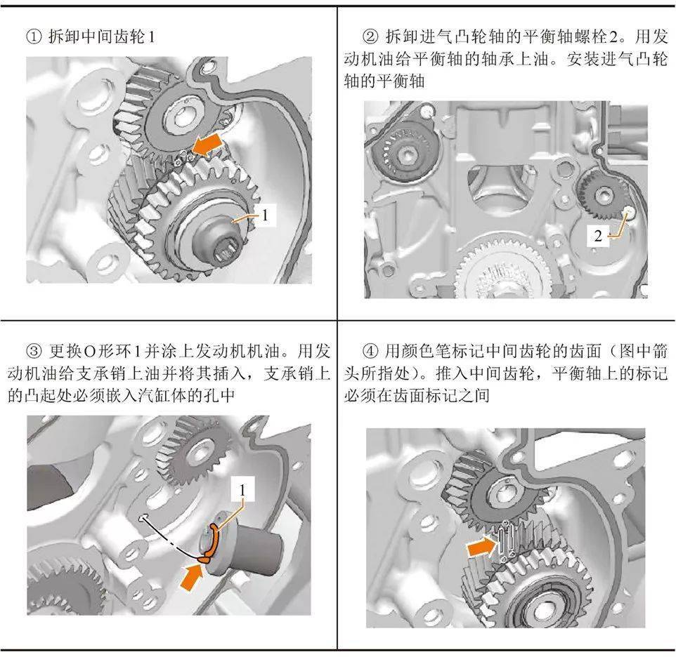 拆卸和安装平衡轴正时链机构步骤及注意事项▼1,10—螺栓;2—平衡轴;3