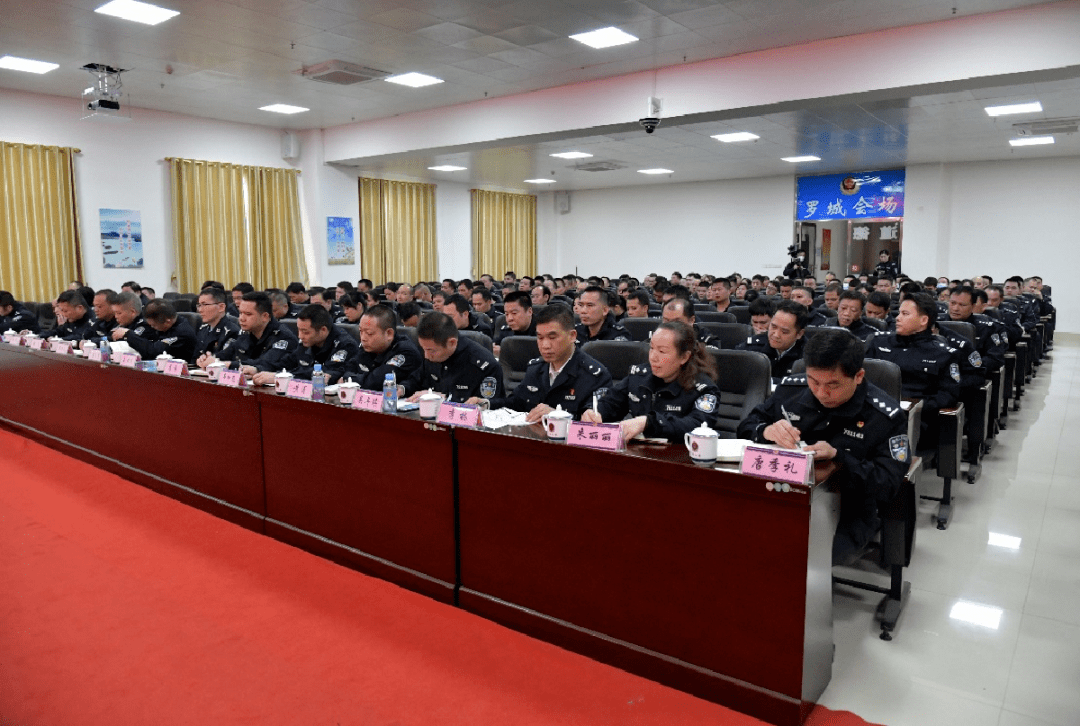 【队伍教育整顿进行时】罗国壮到罗城督导队伍教育整顿工作_公安局