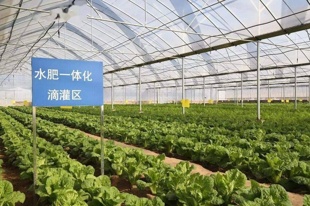 农业农村部加快“互联网+”农产品出村进城工程，“4+1+n”农业融资新模式（收藏+转发）