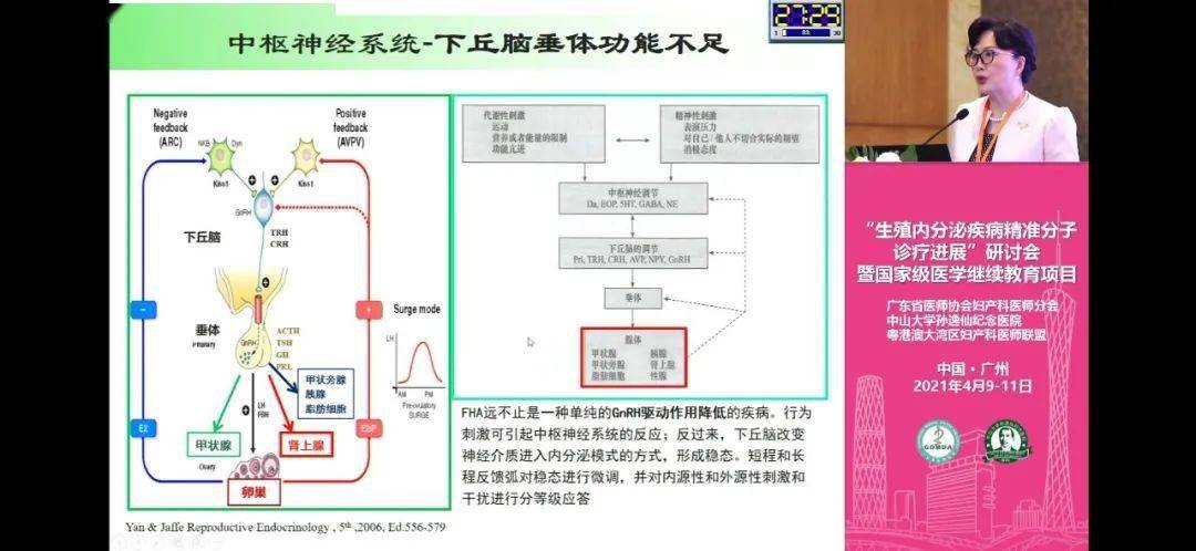 杨冬梓教授提出,目前fha诊断和鉴别诊断面临的困难及困惑包括:fha定义