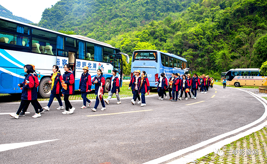 宜昌布谷鸟研学基地有限公司投资7000万元新建,总占地面积300亩,建筑