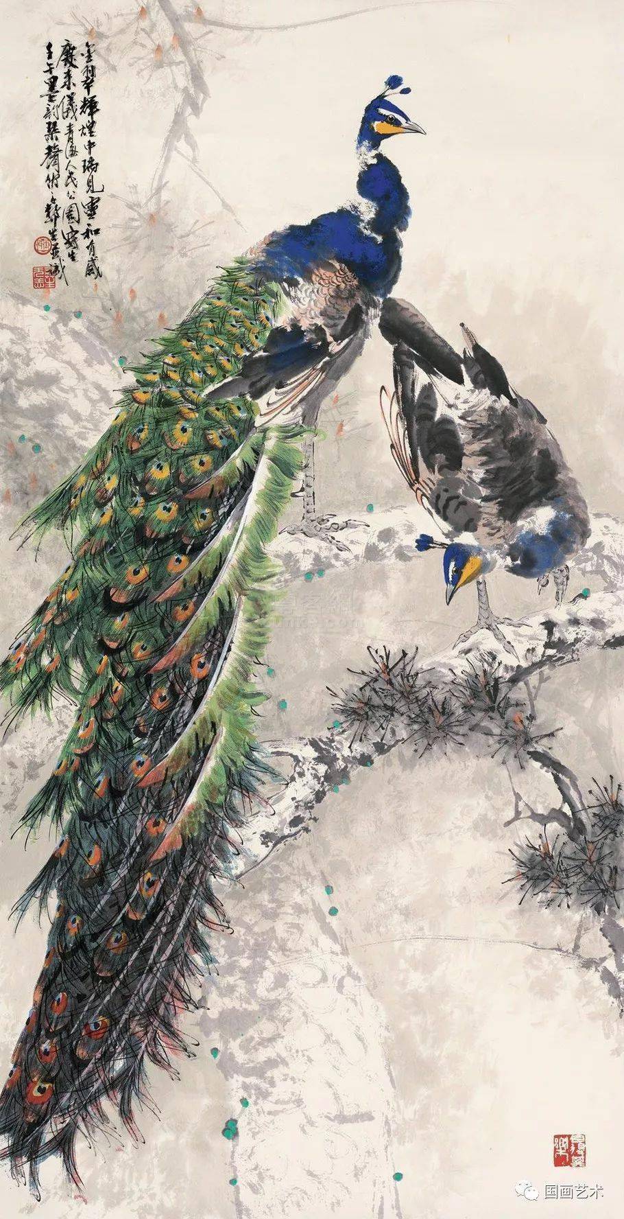 金翠屏开春富贵他画的孔雀太美啦