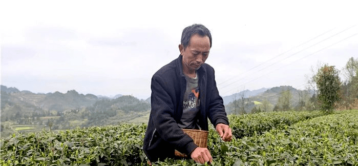 做工人,当老板,搬迁群众就业方式多!