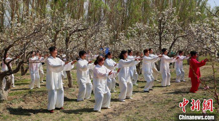 新疆兵团：梨花盛开迎客来 美丽风景变“钱”景