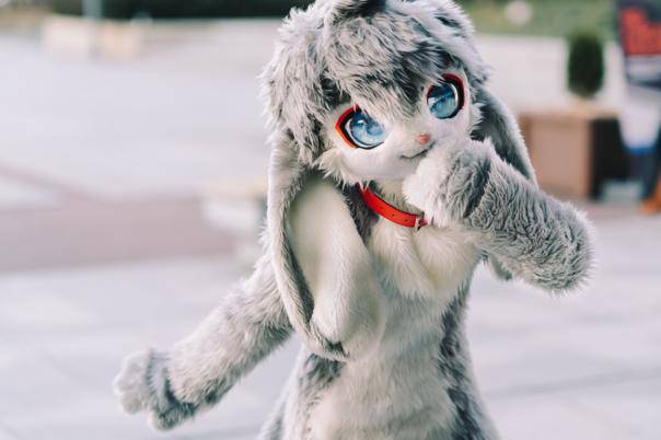 2020年6月,一只名叫ina的兔子在网络上迅速走红.