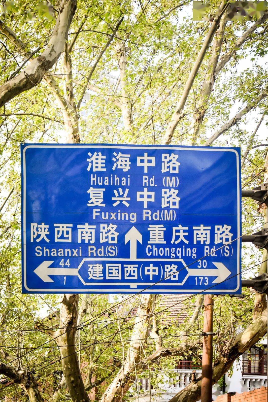 十年了,你还记得卢湾区吗?_黄浦
