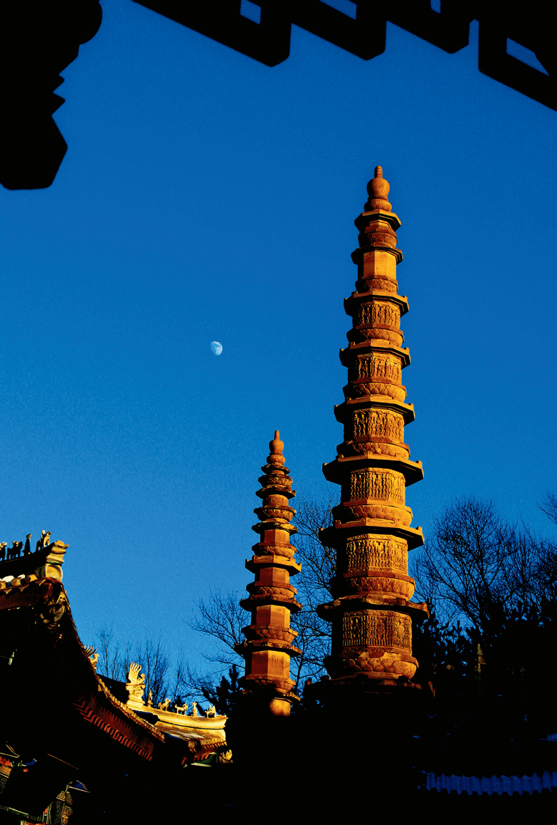 春满甘肃 | 庆阳,穿一塬繁花,领万千繁华!_景区
