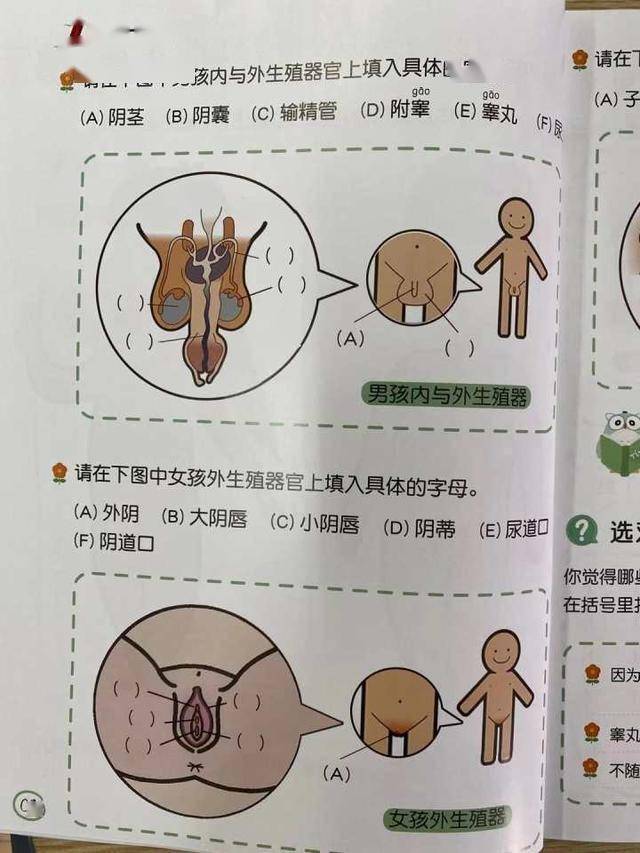 杭州小学生书包里多了一本性教育知识手册家长直呼太直白你怎么看