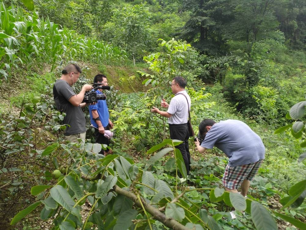 “梦圆千年脱贫路”重庆市脱贫攻坚纪录片展播|第六集编导陈雪梅：扶贫干部是全能战士