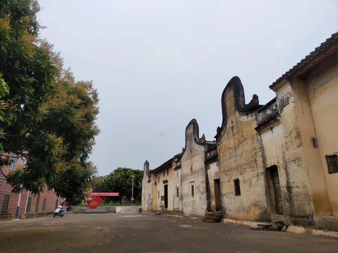 老区新貌富林界石村鸡鸣三县偏远村的产业振兴曲