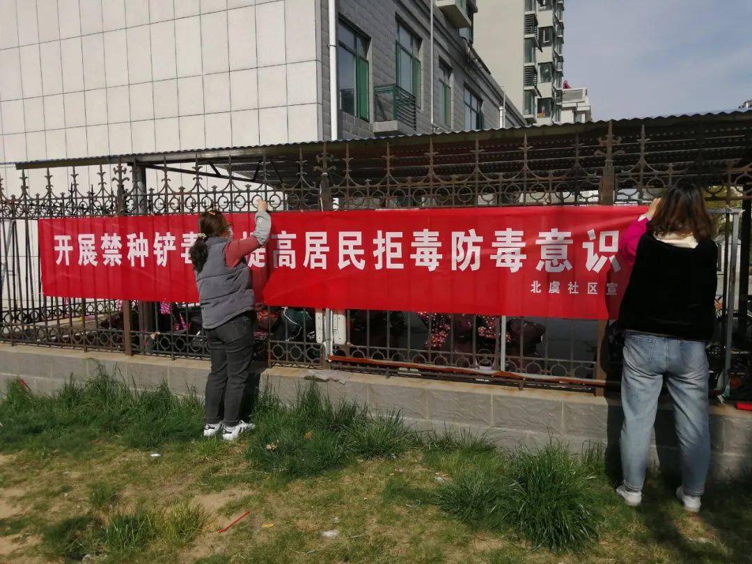 北虞社区开展禁种踏查铲毒工作