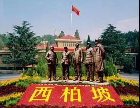 文章配图-10