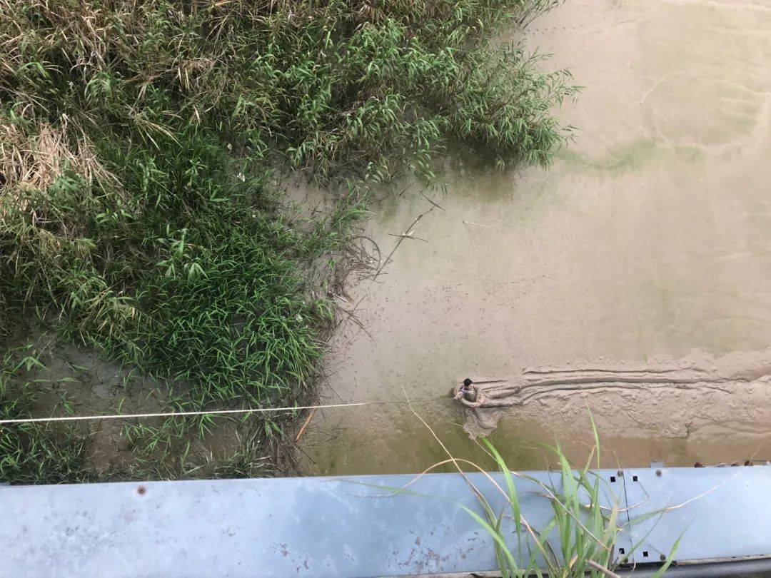 4月13日5时38分, 福州市连江县凤城镇鳌峰大桥底下 一名 20出头的