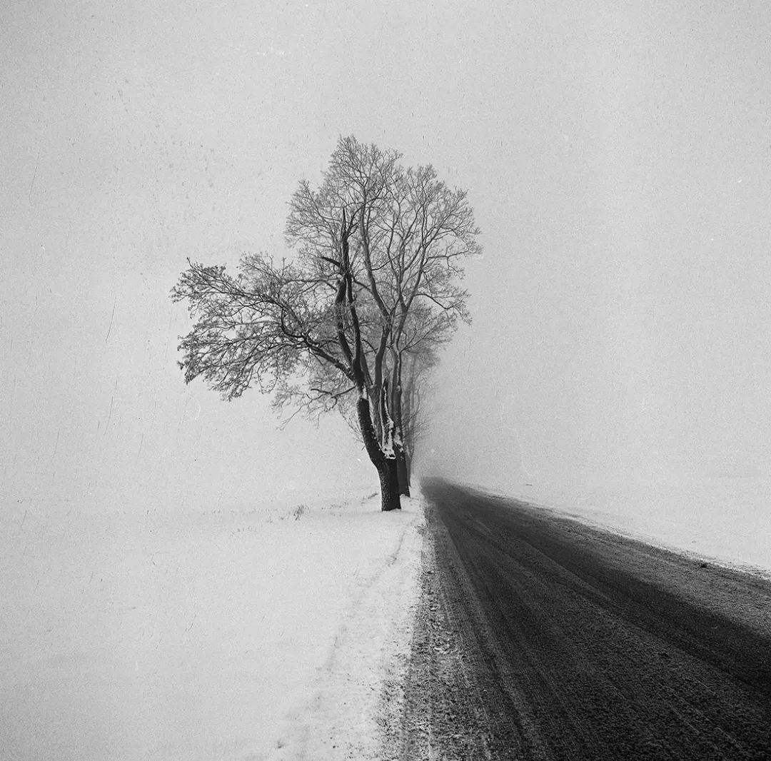 黑白风景图片孤独图片