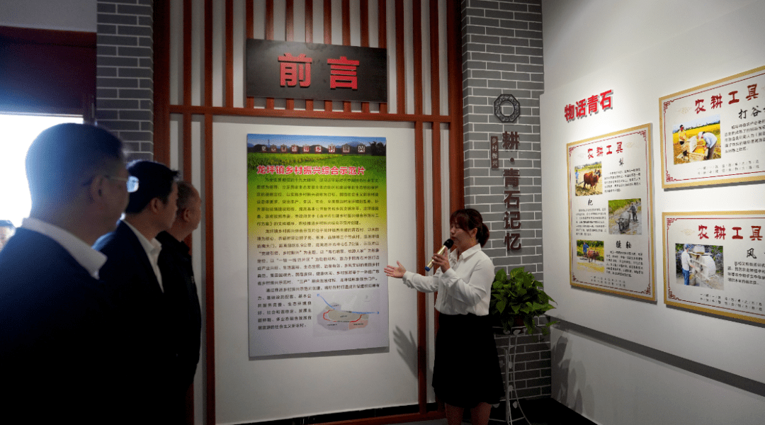 党建引领乡村振兴，连州首个乡村振兴馆在龙坪青石开馆