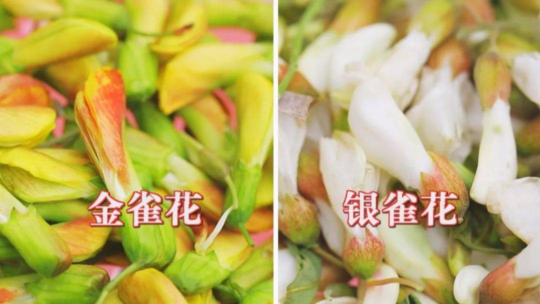 其实银雀花就是大家熟知的槐花,可以清热凉血,清肝火,它所搭配的银雀