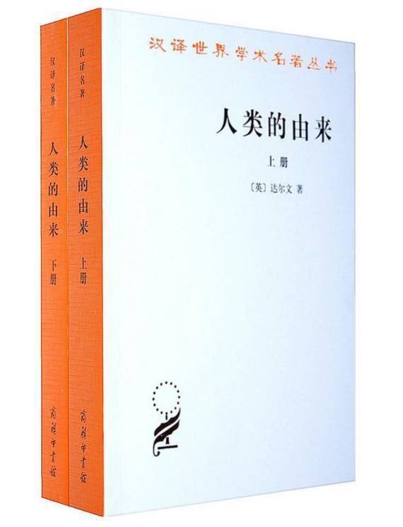 人口论决定是由谁提出的_会长是女仆大人