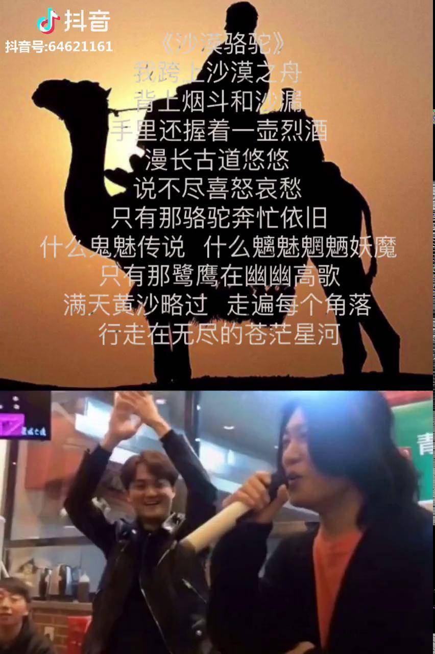 听的热血沸腾,真正玩音乐的样子! 展展与罗罗 歌手 沙漠骆驼 音乐