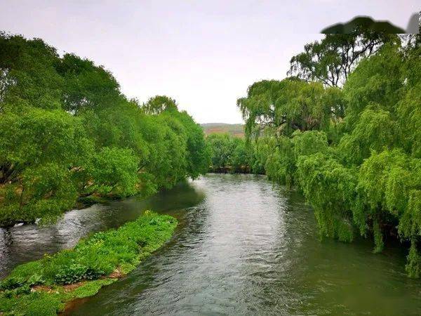 昭通昭阳洒渔烟柳美景让小燕子流连忘返