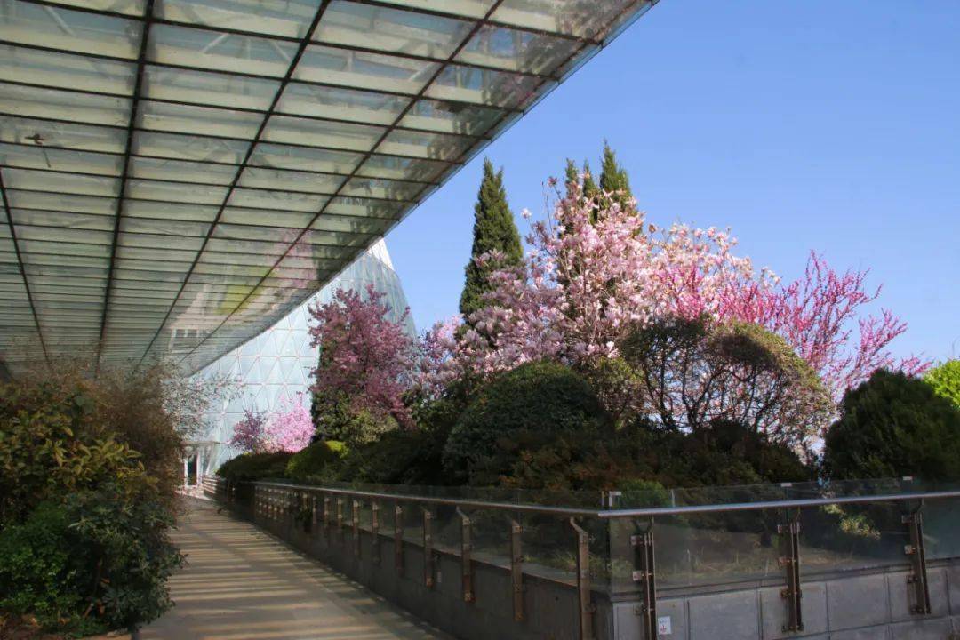 海源公園東山賓館東山路海濱路海港公園菊花頂路昆明路青島路三角花園