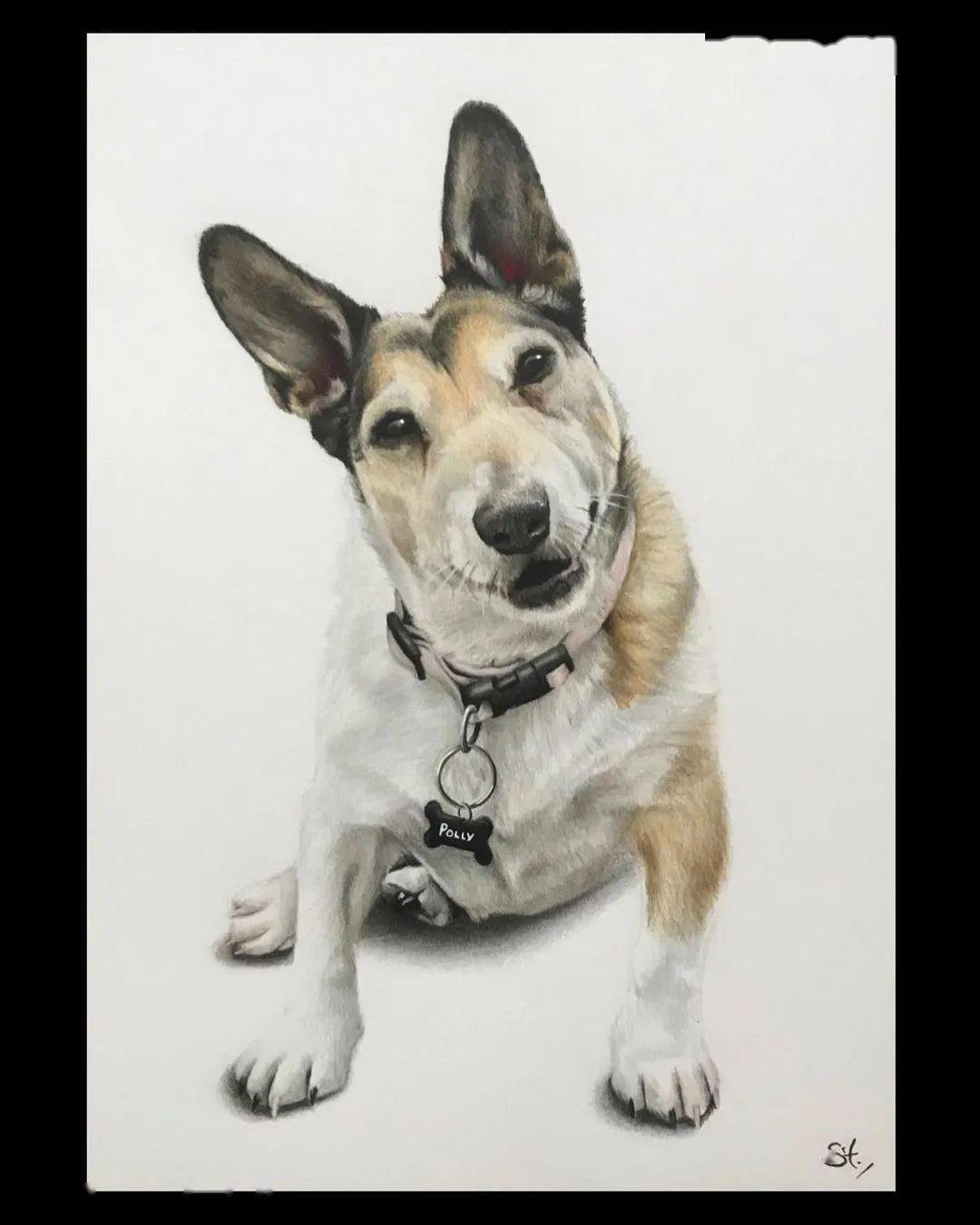 彩铅狗狗手绘好写实啊