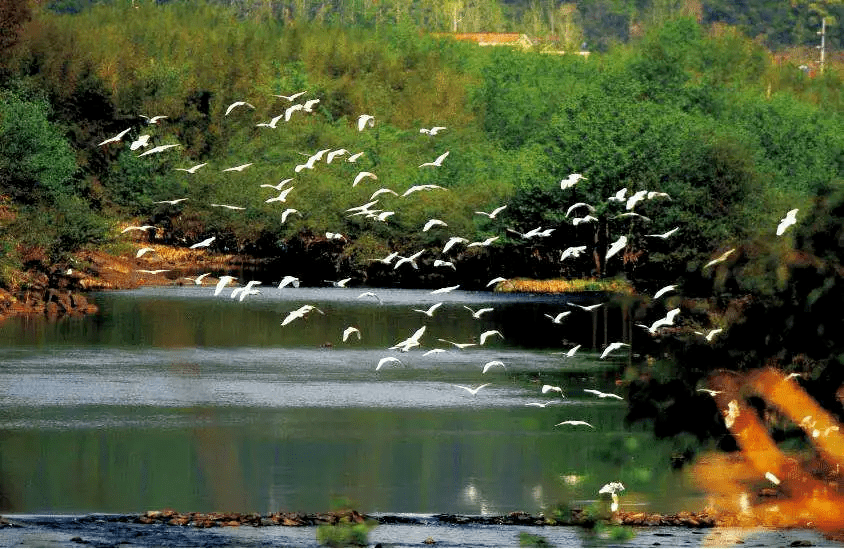 保护生物多样性守住自然生态安全边界