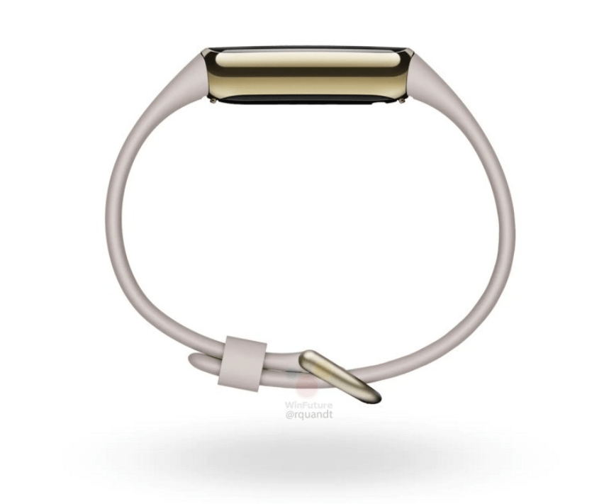 Fitbit Luxe 智能手环渲染图曝光 颜值更高 不锈钢外壳 Ace