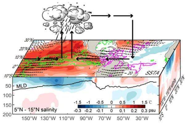 跨海盆水汽输送对热带东太平洋盐度的影响获揭示 变化