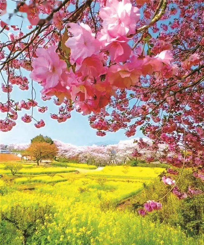 文艺园地春光无限好甘肃省自然资源职工摄影作品