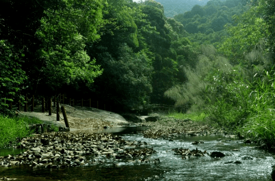 人与自然和谐共生——发现生态环境之美摄影比赛获奖作品展示_河源