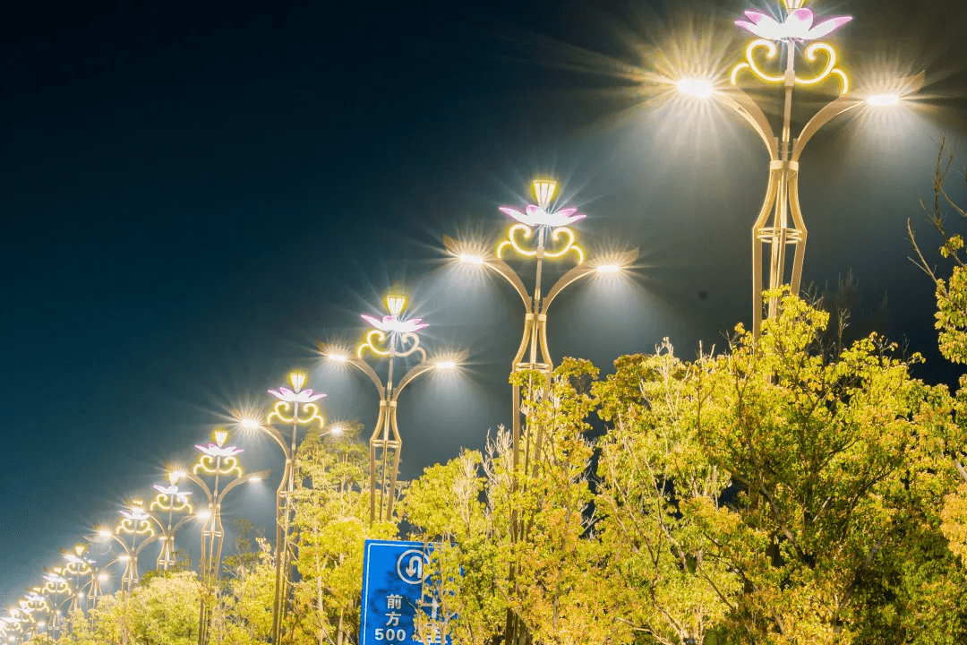 十里荷花景区路灯实拍为了配合景区的景观,腾泸路十里荷花段也安装了