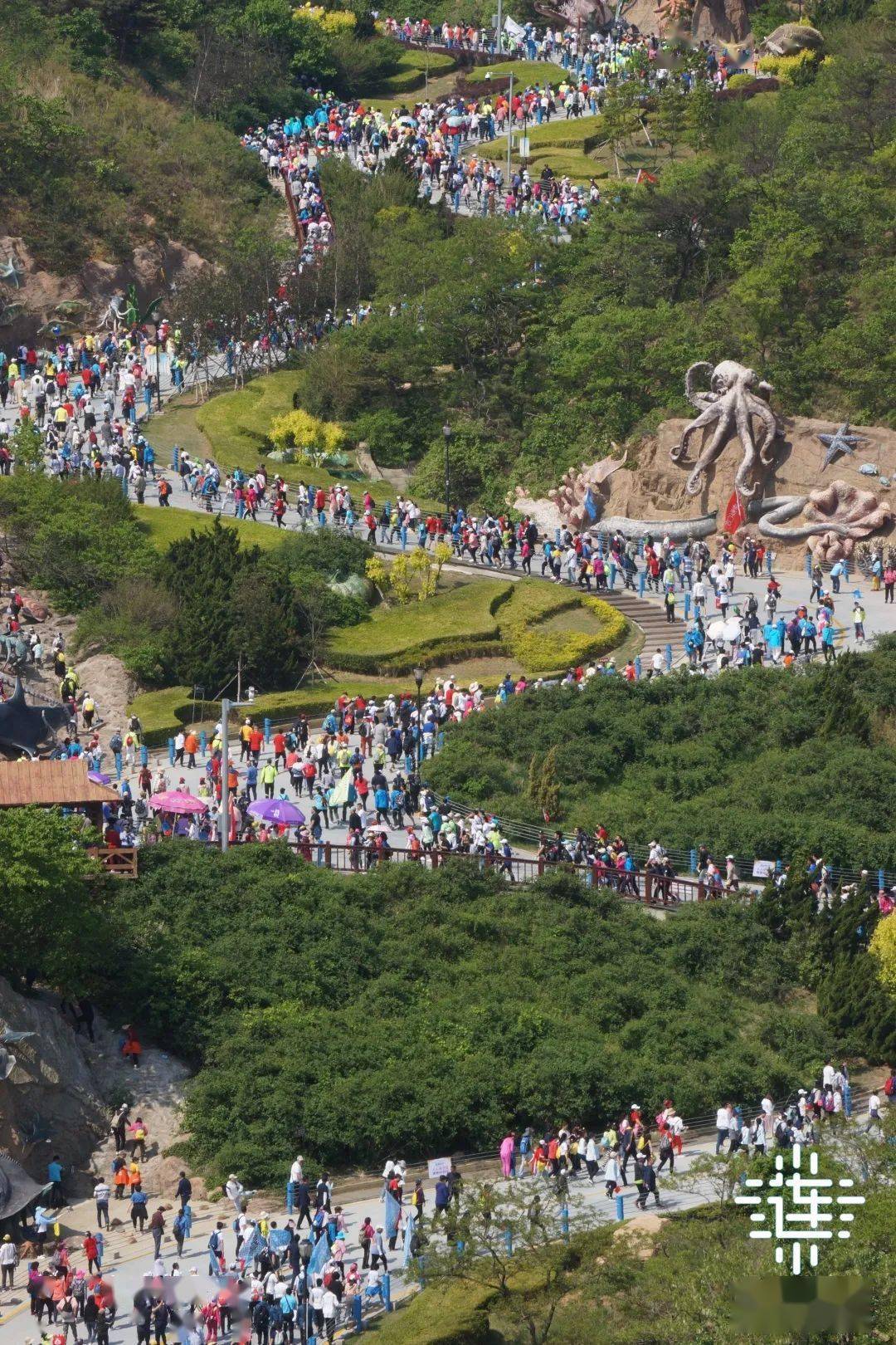 徒步大会最新消息