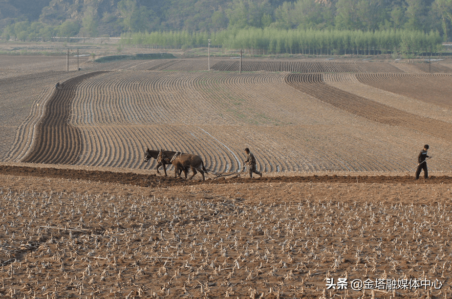 辽宁铁岭最美乡村春耕景