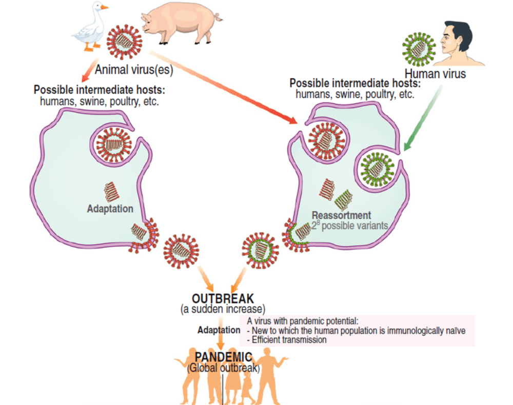 警惕!一地发生野禽h5n6亚型高致病性禽流感疫情